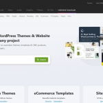 Wordpress theme, website theme, how choose theme