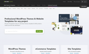 Wordpress theme, website theme, how choose theme